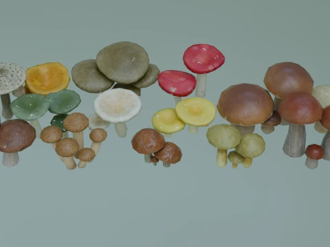 Stylized Low Poly Mushroom Models 3D Model