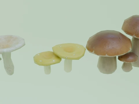 Stylized Low Poly Mushroom Models 3D Model