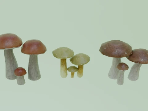 Stylized Low Poly Mushroom Models 3D Model