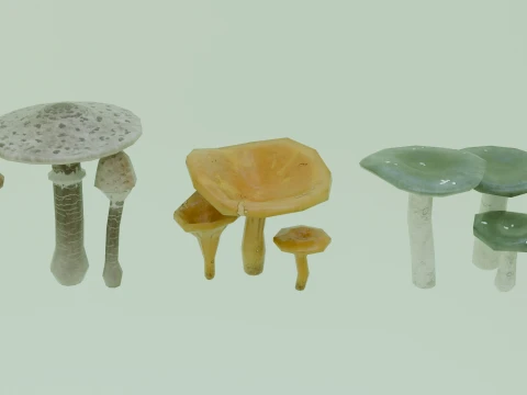 Stylized Low Poly Mushroom Models 3D Model