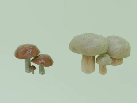 Stylized Low Poly Mushroom Models 3D Model