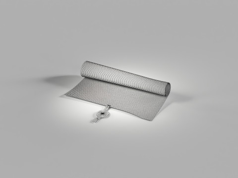 Magna Carta Scroll 3Dモデル
