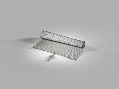 Magna Carta Scroll 3D Model