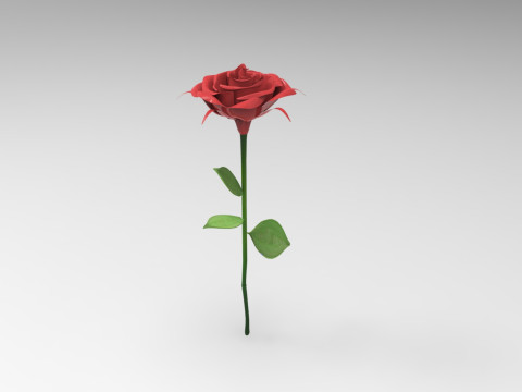 Red Rose 3Dモデル