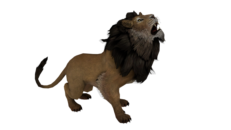 Realistic Low Poly Lion Game Ready Animal 3D Modell .c4d .max .obj .3ds .fbx .stl .blend 