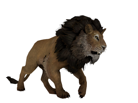 Realistic Low Poly Lion Game Ready Animal 3D Modell