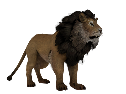 Realistic Low Poly Lion Game Ready Animal 3D Modell