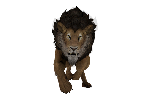 Realistic Low Poly Lion Game Ready Animal 3D Modell