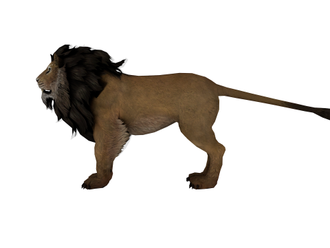 Realistic Low Poly Lion Game Ready Animal 3D Modell