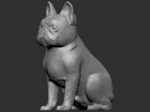 Fransız Buldog 3D Baskı Modeli