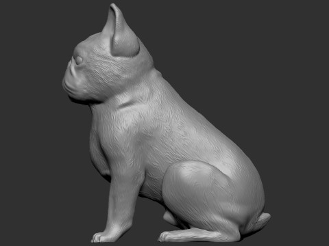 French Bulldog Modello di stampa 3D