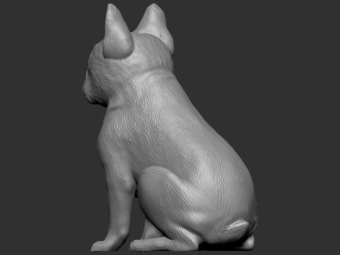 French Bulldog Modello di stampa 3D