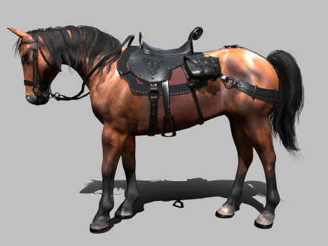Cavallo da guerra Modello 3D