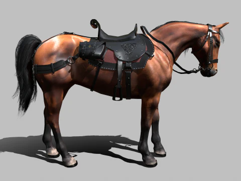 Cavallo da guerra Modello 3D