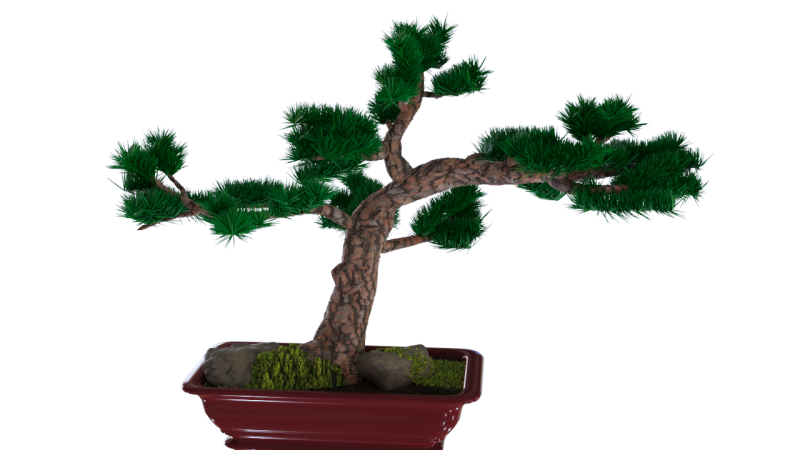 Bonzai 3D Model .c4d .max .obj .3ds .fbx .stl .blend 