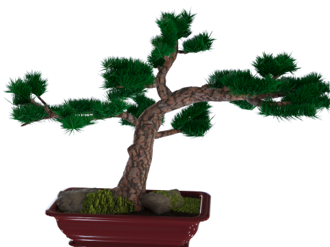 Bonzai 3D Model