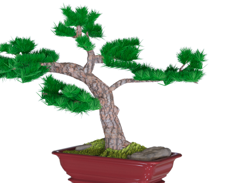 Bonzai 3D Model