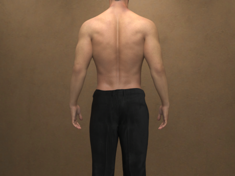 Elite Character and Outfit for Genesis 9 3D 模型