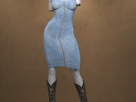 Jeans Dress Outfit for Genesis 9 3D Model