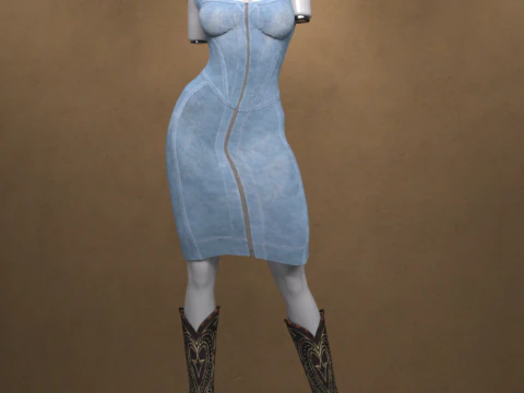 Jeans Dress Outfit for Genesis 9 3D Model