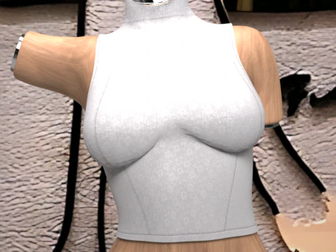 Long Top Neck for Genesis 9 3D Model