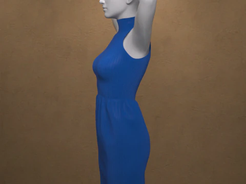Long Neck Dress for Genesis 8 Female 3D Model