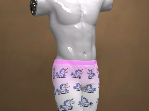 Playful Boxershorts for Genesis 9 3D Model
