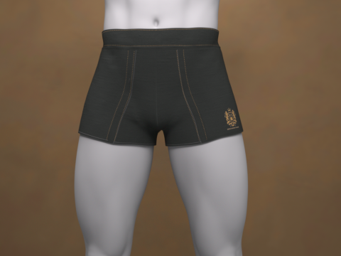 Boxers curtos G8 para Genesis 8 Modelo 3D