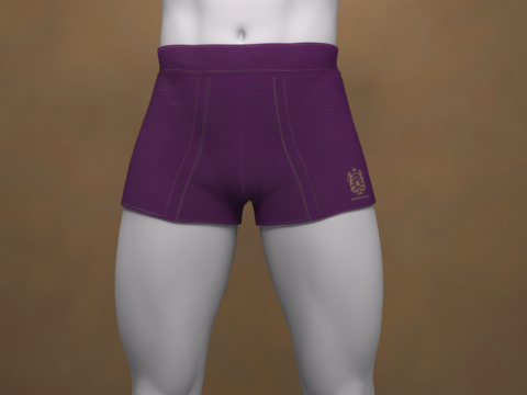 Boxers curtos G8 para Genesis 8 Modelo 3D