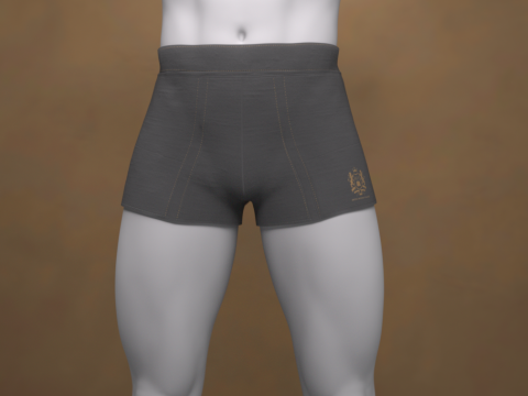 Boxers curtos G8 para Genesis 8 Modelo 3D