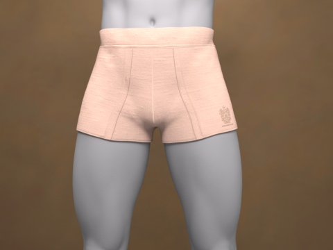 Boxers curtos G8 para Genesis 8 Modelo 3D