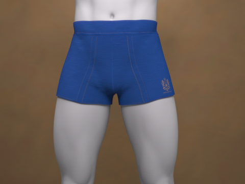Boxers curtos G8 para Genesis 8 Modelo 3D