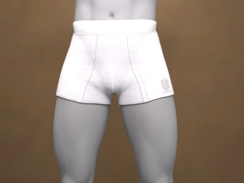 Boxers curtos G8 para Genesis 8 Modelo 3D