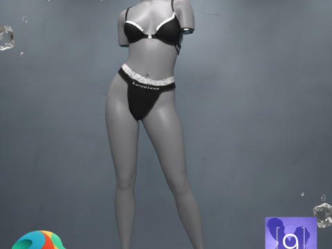 Loveless Underwear 02 for Genesis 9 3D Model