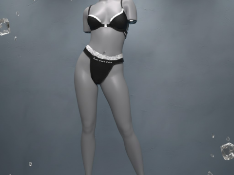 Loveless Underwear 02 for Genesis 9 3D Model