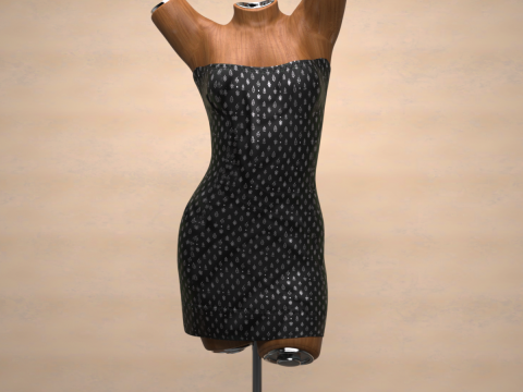Saint Dress for Genesis 9 Bundle 3D Model