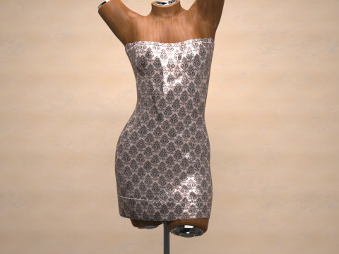 Saint Dress for Genesis 9 Bundle 3D Model