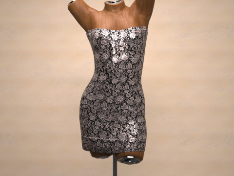 Saint Dress for Genesis 9 Bundle 3D Model