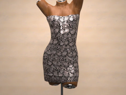 Saint Dress for Genesis 9 Bundle 3D Model