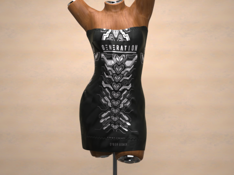 Saint Dress for Genesis 9 Bundle 3D Model