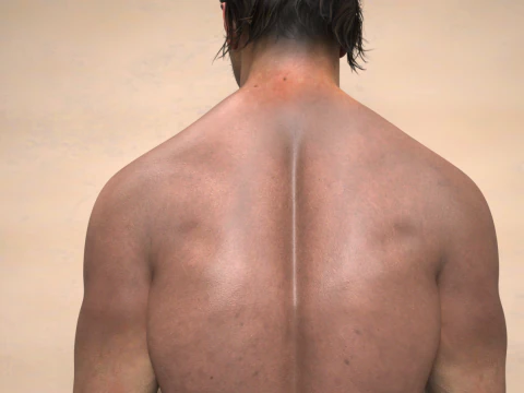 Thom Character for Genesis 9 Male 3D Model
