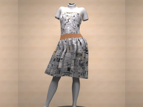 Paperdress for Genesis 9 3D Model