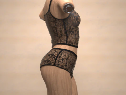 Lace Dream Set for Genesis 9 3D Model