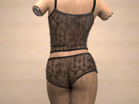 Lace Dream Set for Genesis 9 3D Model