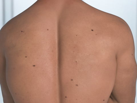 Austrian King HD for Genesis 9 3D Model