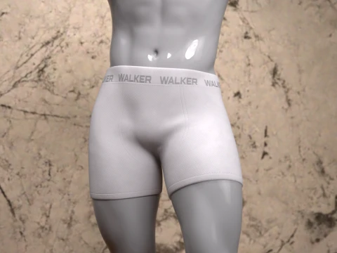 Walker Boxershort for Genesis 9 3D Model