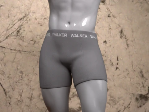 Walker Boxershort for Genesis 9 3D Model