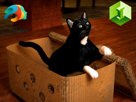 Animal Box - Daz3D Prop 3D Модель