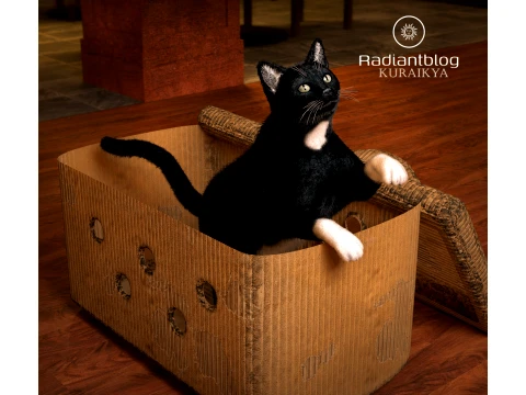 Animal Box - Daz3D Prop 3D Model