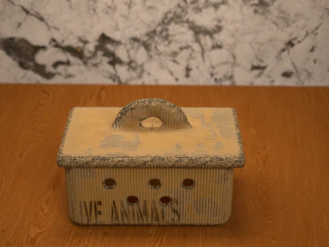Animal Box - Daz3D Prop 3D Model